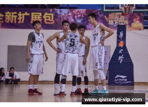 诺尔：重返巅峰的篮球之路