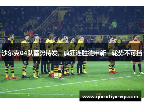 沙尔克04队蓄势待发，疯狂连胜德甲新一轮势不可挡
