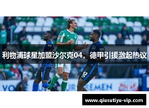 利物浦球星加盟沙尔克04，德甲引援激起热议