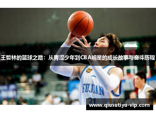 王哲林的篮球之路：从青涩少年到CBA明星的成长故事与奋斗历程